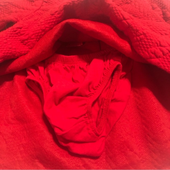 NWOT Janie and Jack Long Sleeve Red Dress with matching Bloomers - Picture 5 of 10